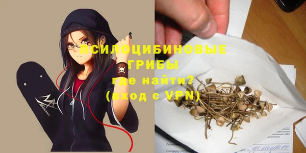 а пвп мука Абаза