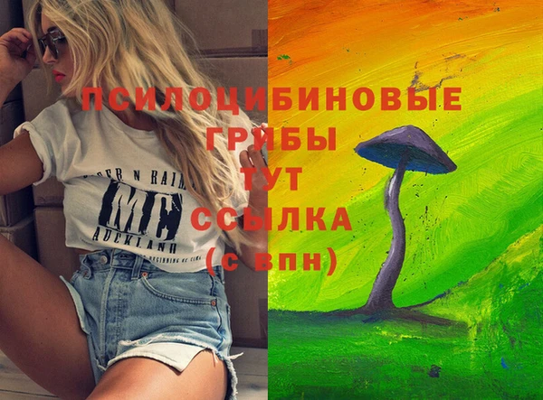 а пвп мука Абаза
