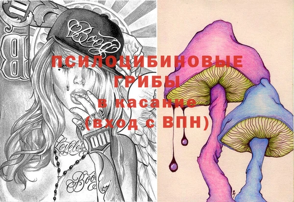 apvp Алзамай