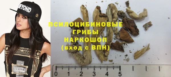 а пвп мука Абаза