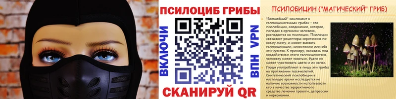 Галлюциногенные грибы Psilocybine cubensis  Змеиногорск 